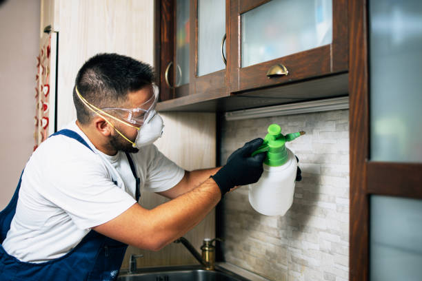 Best Wasp Removal Services  in Granville, OH