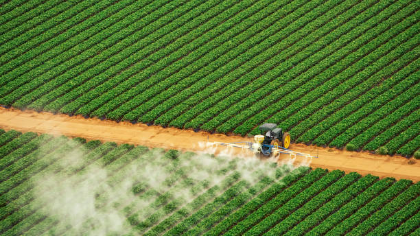 Best Mosquito Control Services  in Granville, OH