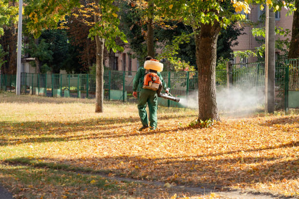 Best Flea Control Services  in Granville, OH