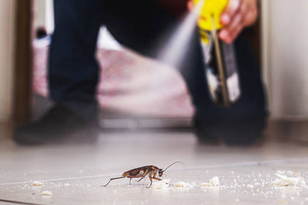 Best Emergency Pest Control  in Granville, OH