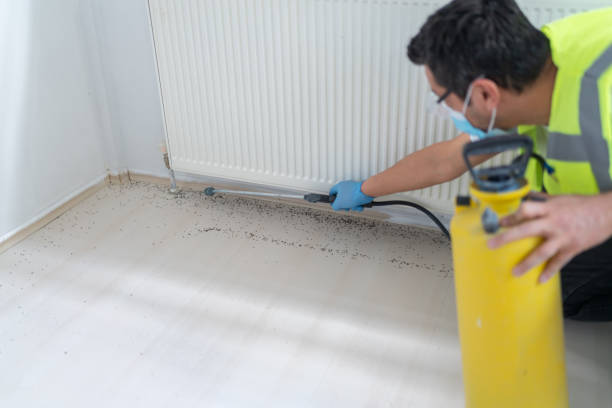 Best Ant Control Services  in Granville, OH
